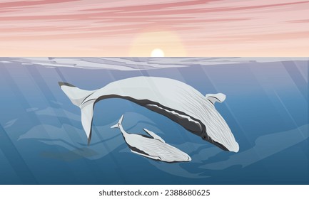 A large humpback whale and her calf swim in the ocean. Sunset over the surface of the sea. Realistic vector landscape