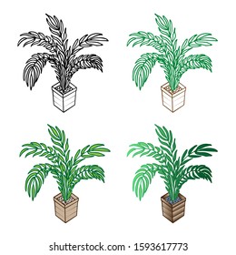 Large indoor tree on white background