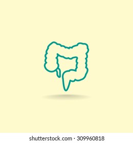 large intestine