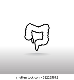 large intestine