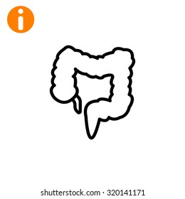 large intestine
