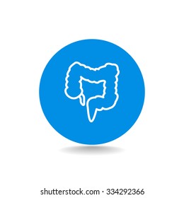 large intestine