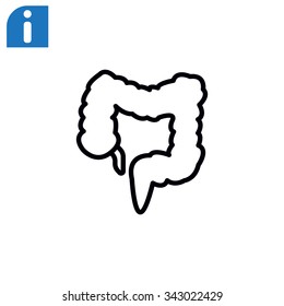 large intestine