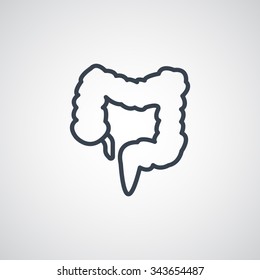 large intestine