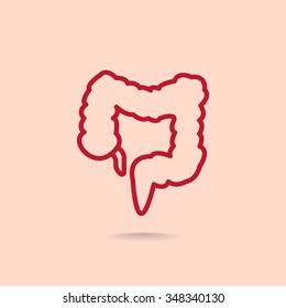 large intestine