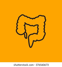 large intestine