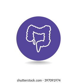 large intestine