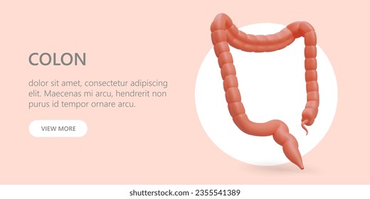 Large intestine, colon with appendix. Colonoscopy, biopsy, treatment. Concept with 3D illustration. Advertising banner for clinic. Endoscopist services. Vector concept in modern style