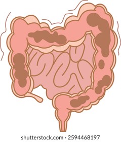 Large intestine during atonic constipation
