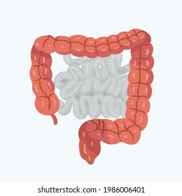Intestino grande, ilustración del vector dibujado a mano.