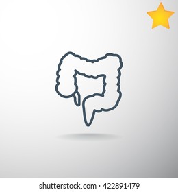 Large intestine icon