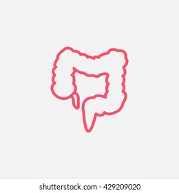 Large Intestine Icon