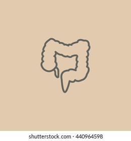 Large intestine icon