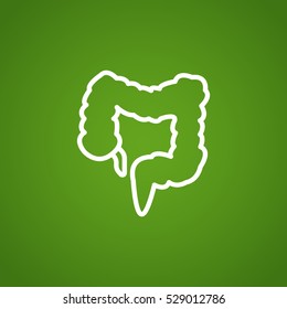 Large intestine icon flat.