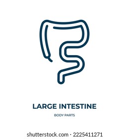 Large intestine icon. Linear vector illustration from body parts collection. Outline large intestine icon vector. Thin line symbol for use on web and mobile apps, logo, print media.