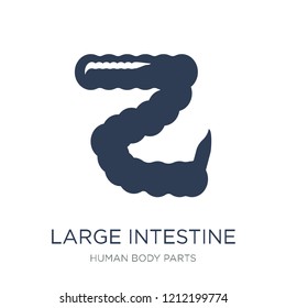 Large intestine icon. Trendy flat vector Large intestine icon on white background from Human Body Parts collection, vector illustration can be use for web and mobile, eps10