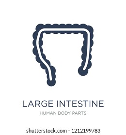 Large Intestine icon. Trendy flat vector Large Intestine icon on white background from Human Body Parts collection, vector illustration can be use for web and mobile, eps10