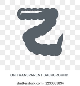 Large intestine icon. Trendy flat vector Large intestine icon on transparent background from Human Body Parts collection. 