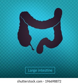 Large intestine icons