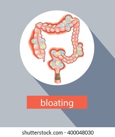 Large Intestine Info Graphic Design. Bowel. Bloating. Belly Bloat