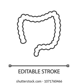 Large intestine linear icon. Thin line illustration. Large bowel. Gastrointestinal tract. Contour symbol. Vector isolated outline drawing. Editable stroke