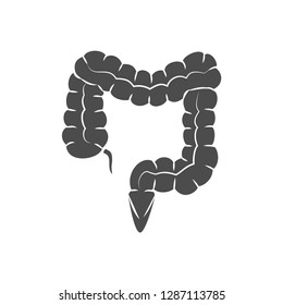 Large intestine poster with white background
