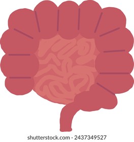 
large intestine and small intestine