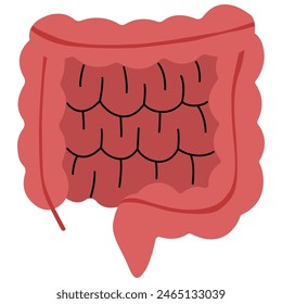 Large intestine and Small intestine on a white background, vector illustration.
