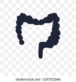 Large Intestine transparent icon. Large Intestine symbol design from Human Body Parts collection.