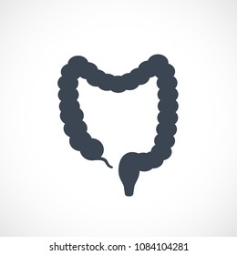 Large intestine vector icon isolated on white background