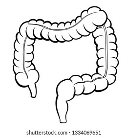 Large Intestine Vector Icon Isolated On Stock Vector (Royalty Free ...