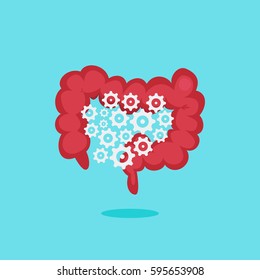 Large intestine vector illustration