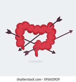 Large intestine vector illustration