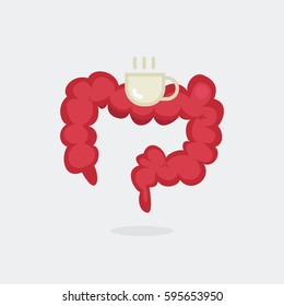 Large intestine vector illustration