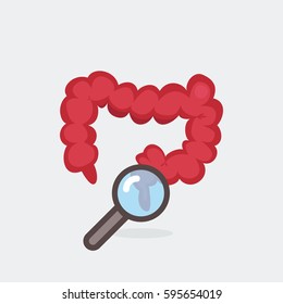 Large intestine vector illustration