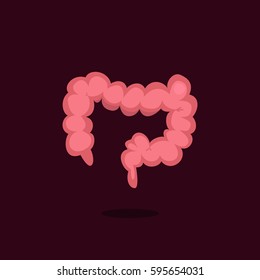 Large intestine vector illustration