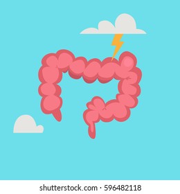 Large intestine vector illustration