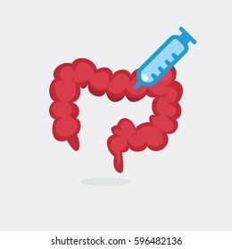 Large intestine vector illustration