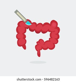 Large intestine vector illustration