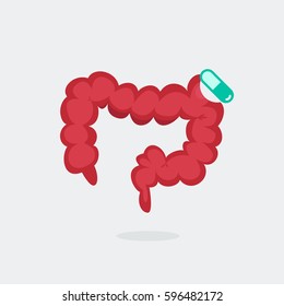 Large intestine vector illustration