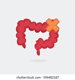 Large intestine vector illustration