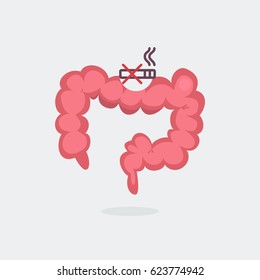 Large intestine vector illustration