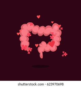 Large intestine vector illustration