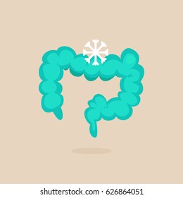 Large intestine vector illustration