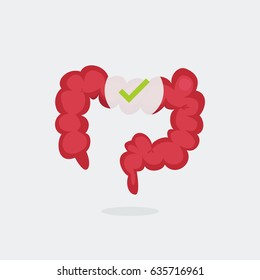 Large intestine vector illustration