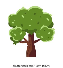 large isolated tree with green lush foliage and brown trunk