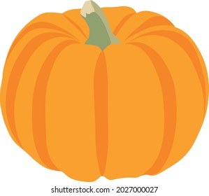 Large juicy orange pumpkin. Vector illustration. Autumn, agriculture, autumn holiday. Flat 