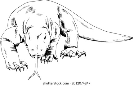 a large komodo dragon, a predatory reptile is preparing for an attack, hand-drawn, sketch, icon