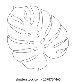 Large leaf of Monstera plant, isolated on white.. Tropical plant. Vector illustration. Coloring book for adult and older children. Coloring page. Outline drawing.