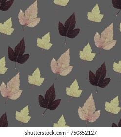 large leaves geometry lines on grey